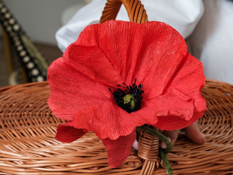 Taller de flores de papel crepé en el distrito 6 de Marsella