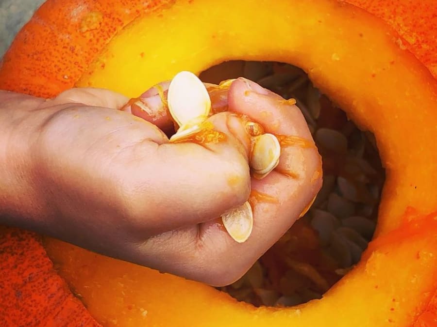 Halloween pumpkin workshop at Cueillette de Compans (77)