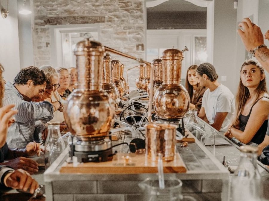 Visit & Gin distillation workshop in Dijon (21)