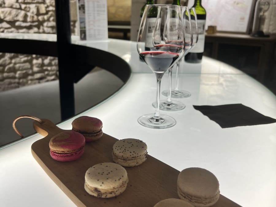 Wine and food pairing excursion in the Médoc