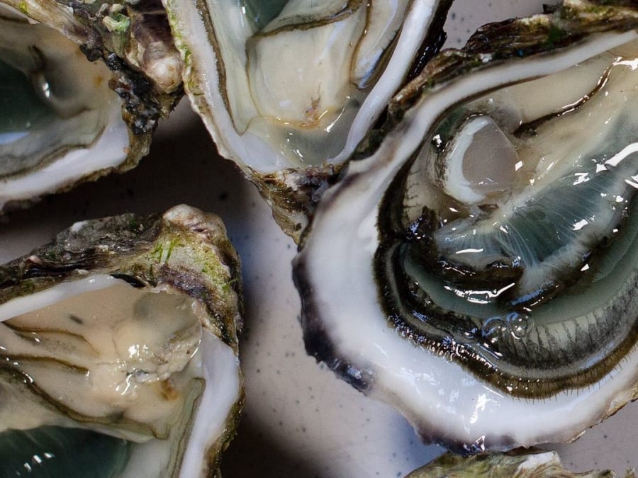 Visite & dégustation d'huîtres à La Couarde-sur-Mer (17)