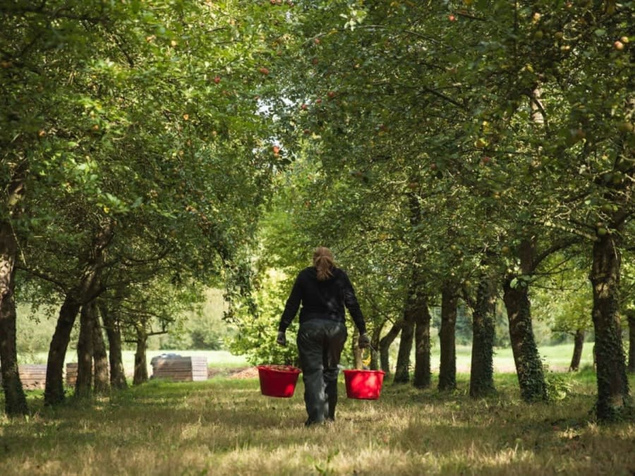 Bezoek aan de ciderfabriek van het Domaine des Pommes d'Armor (22)