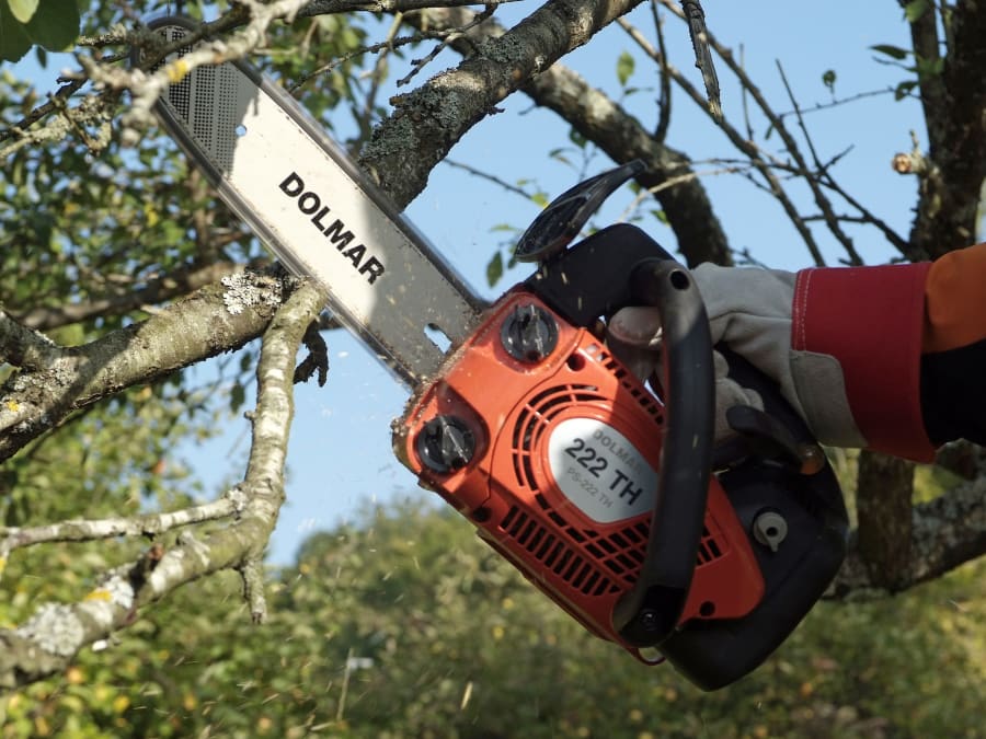 Entretenir ses outils motorisés de jardin, Truffaut Servon (77)