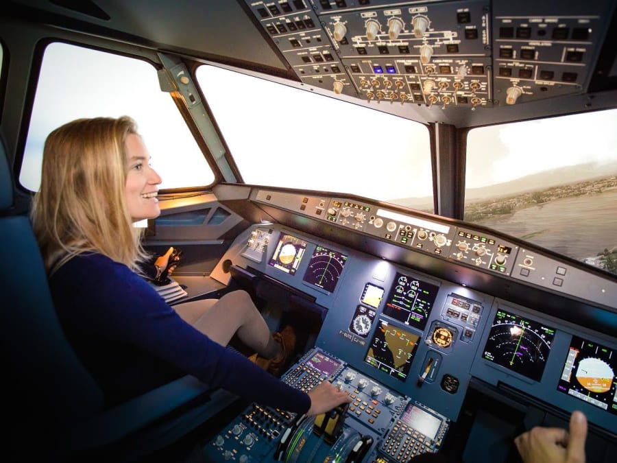 Curso de alivio del estrés con simulador de avión en Vanves