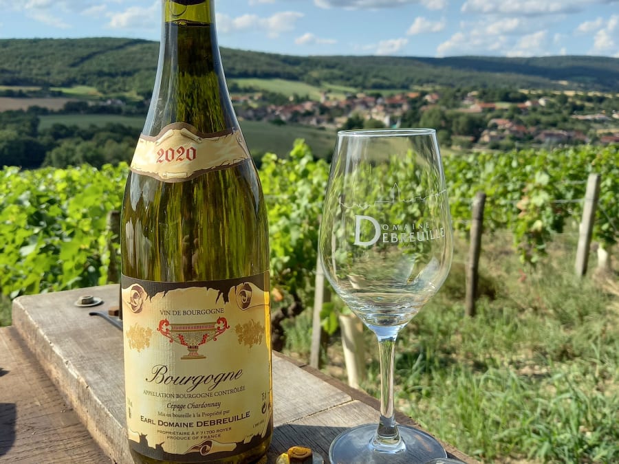 Visites & dégustation de vins au Domaine Debreuille (71)