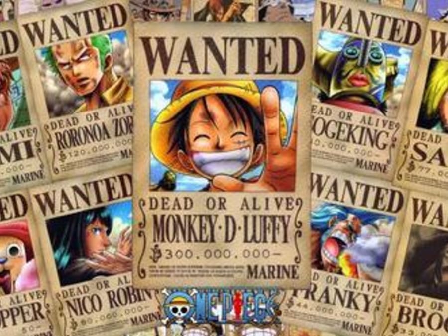 Anniversaire One piece  6-12 ans à domicile en IDF