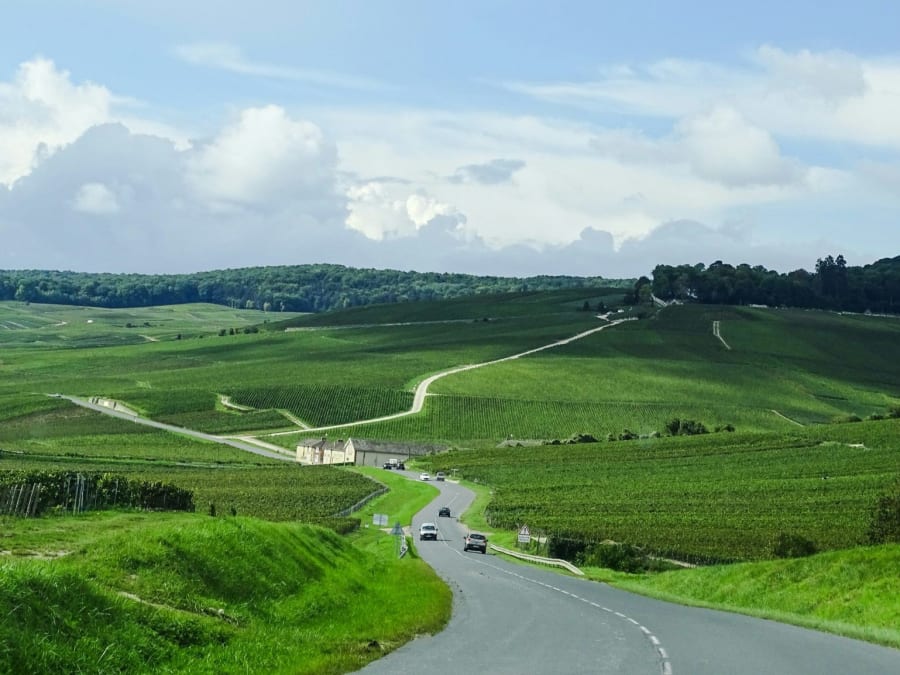 Visite de vignoble et dégustation de champagne à Reims (51)