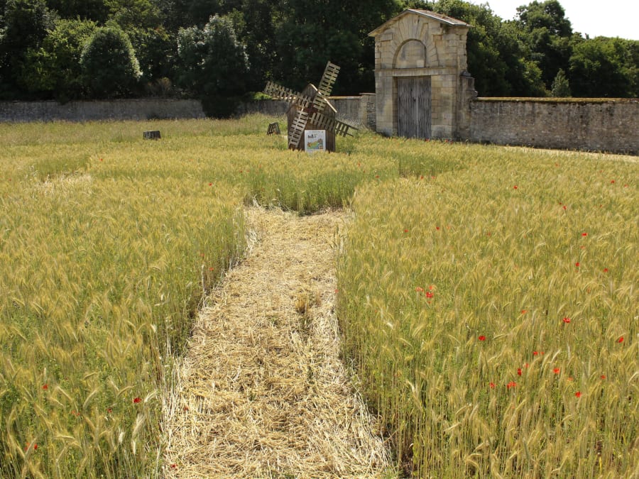 Soirées champêtres au labyrinthe, Fermes de Gally St Cyr l'Ecole