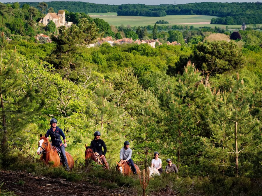 Paseos a caballo por el bosque de Yvelines (78)