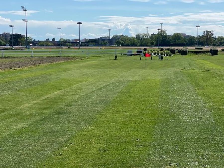 Mini Golf grandeur nature à Toulouse (31)