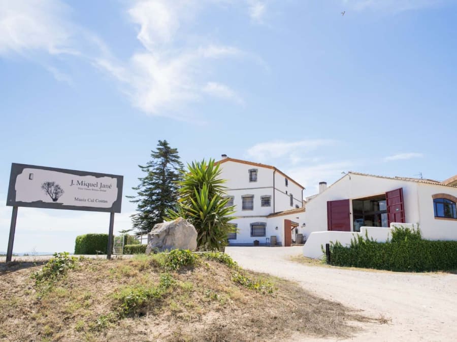 Ontbijt en rondleiding door het wijngoed met wijnproeverij bij Bodega Miquel Jané (Penedès)