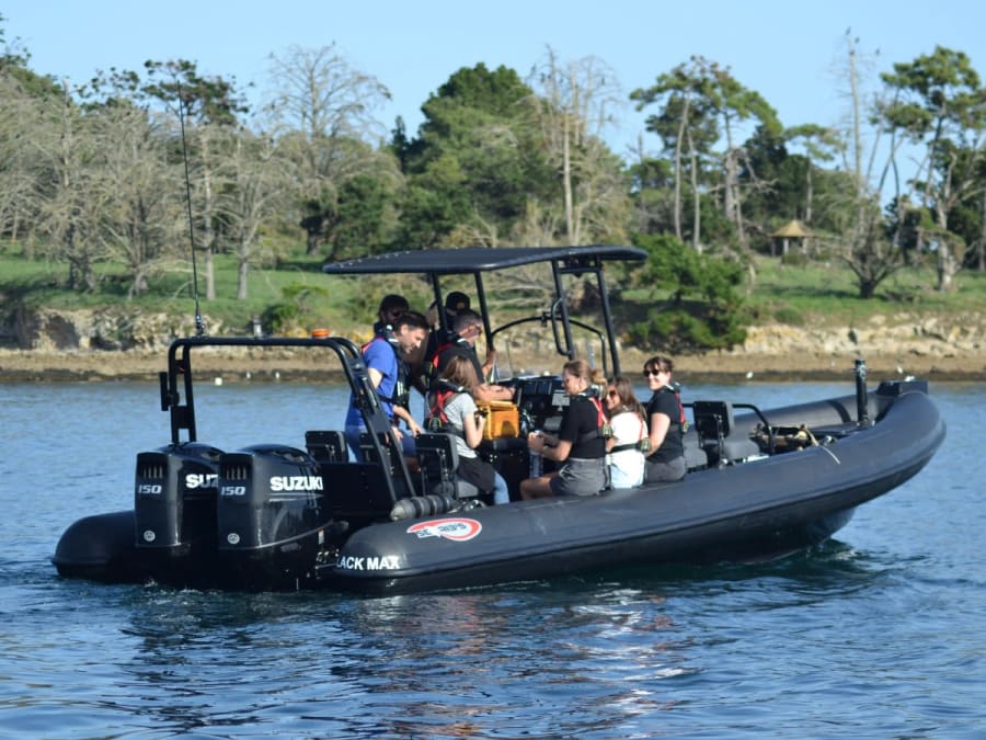 Promenade en mer sur la journée dans le Golfe du Morbihan (56)