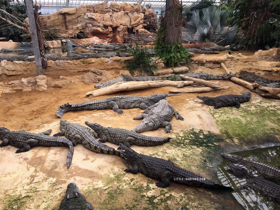 Tickets for the Crocodile Farm in Pierrelatte (26)