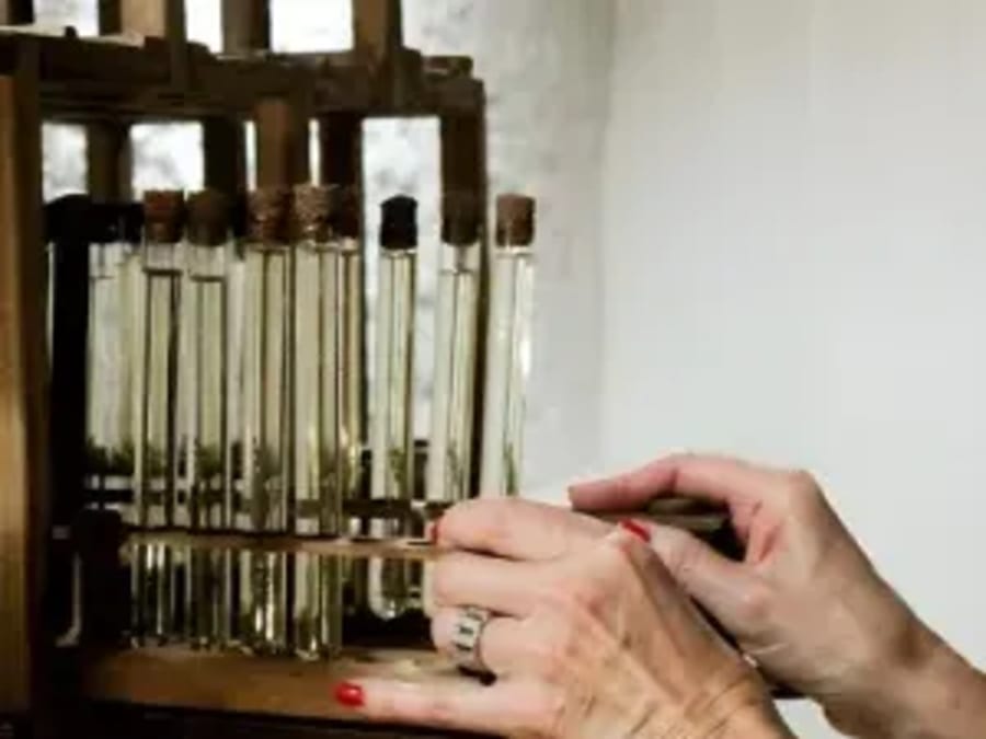 Escape Game "Wine gaming" à Lyon 2ème