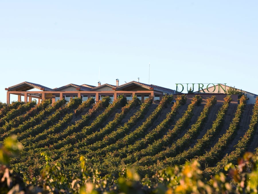 Visite des caves Durón avec dégustation de 3 vins et apéritif