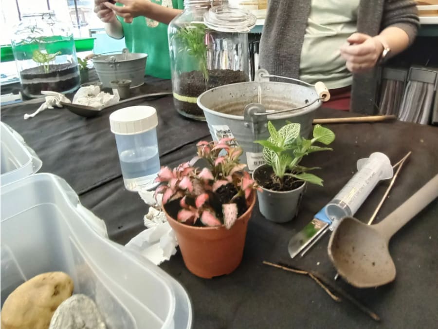 Terrarium creation workshop in Dijon (21)