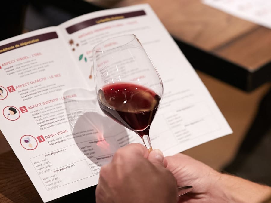 Oenology, the basics of tasting in Tours (37)