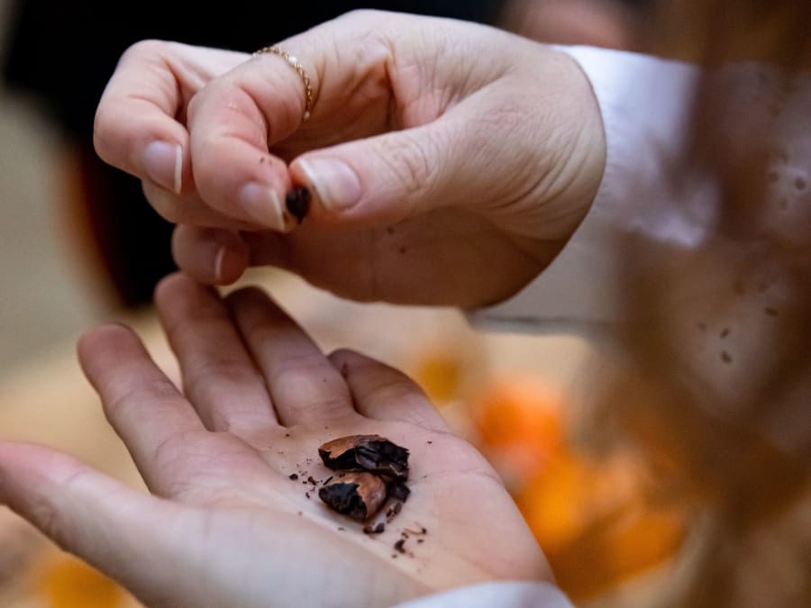 Taller de degustación de chocolate en Annecy (74)