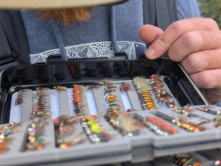 Séance d’initiation privée à la pêche à Toulouse (31)