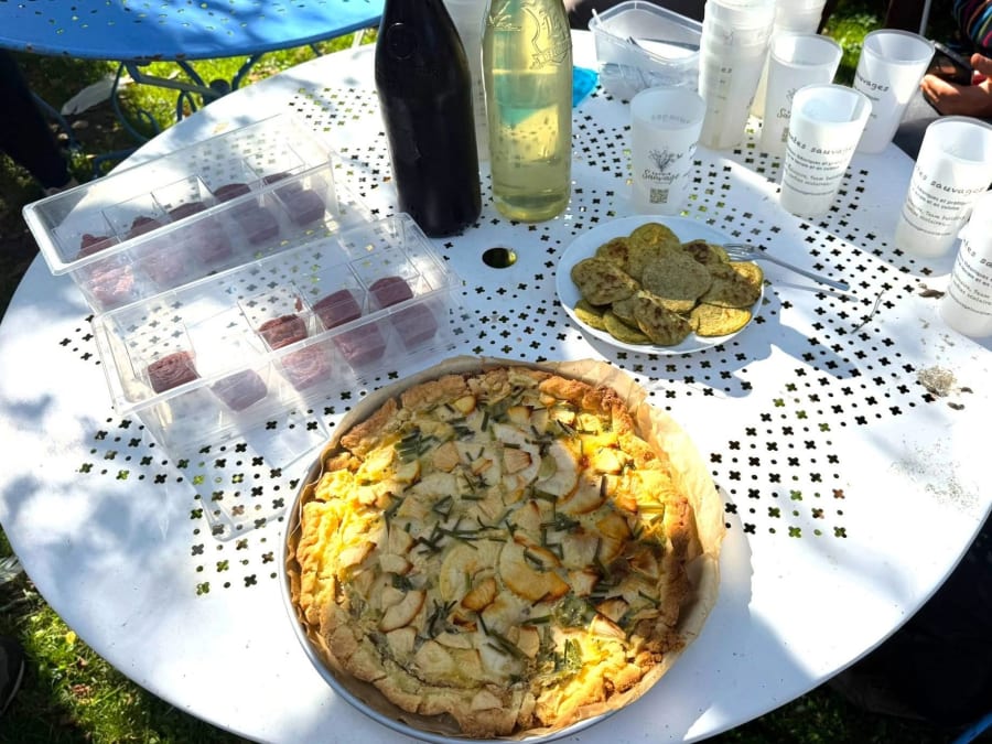 Introduction to wild plants at Chambray-lès-Tours (37)