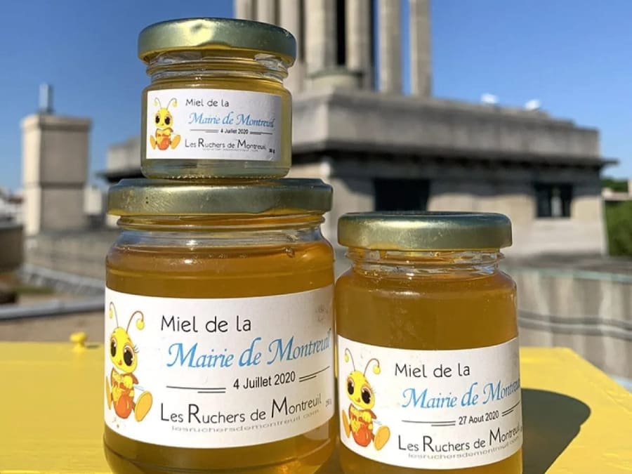 Introduction to beekeeping in Montreuil (93)