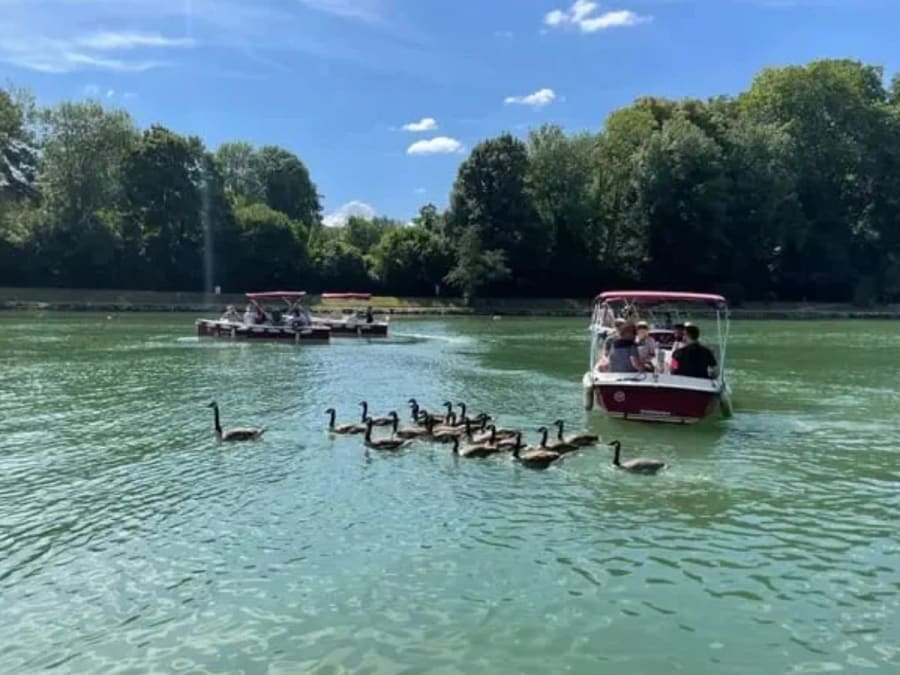 Location de bateau électrique (9 pers. max) à Cergy