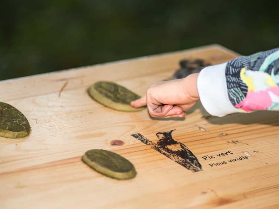 Multi-activity package near Tarbes (65)