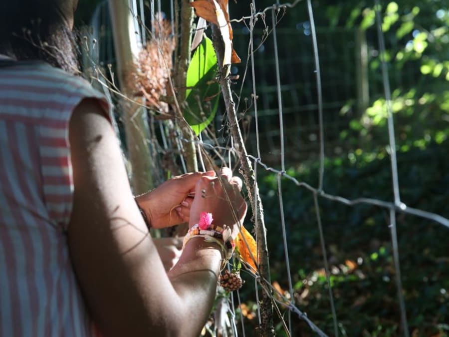 Marche sensorielle & Land Art éphémère au Parc de St Cloud