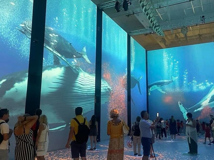 Ticket for the Oceanographic Museum of Monaco