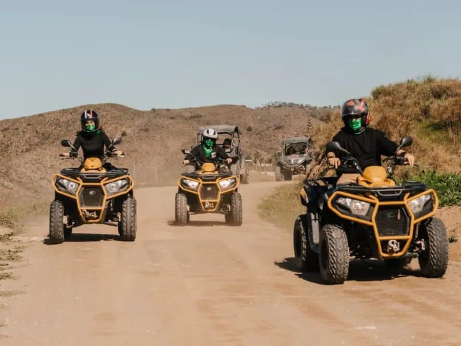 Tour en quad de 3 heures sur la Costa del Sol, entre Málaga et Marbella