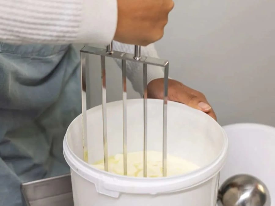 Workshop to make your own Halloumi in Bordeaux (33)