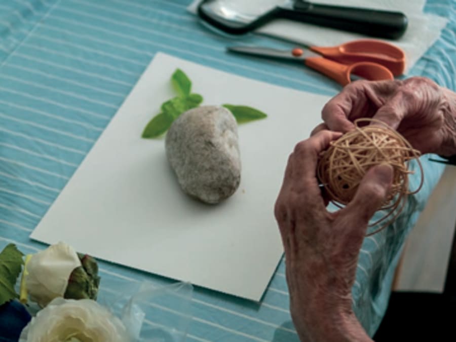 Taller de iniciación a la cianotipia en Villeurbanne (69)