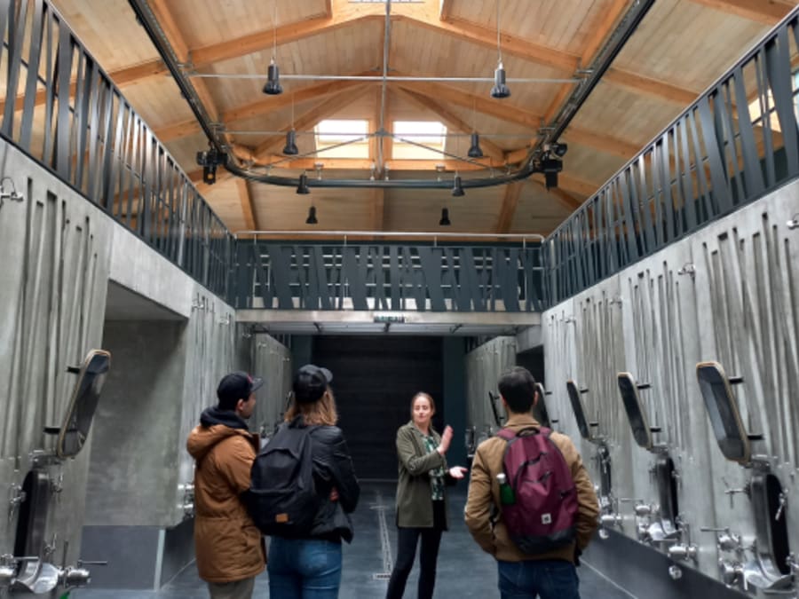 Excursion demi-journée Grands Vins de Saint-Emilion et Pomerol