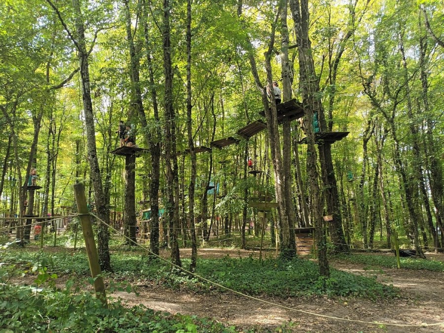 Team Building Accrobranche à Chemillé-sur-Indrois (37)