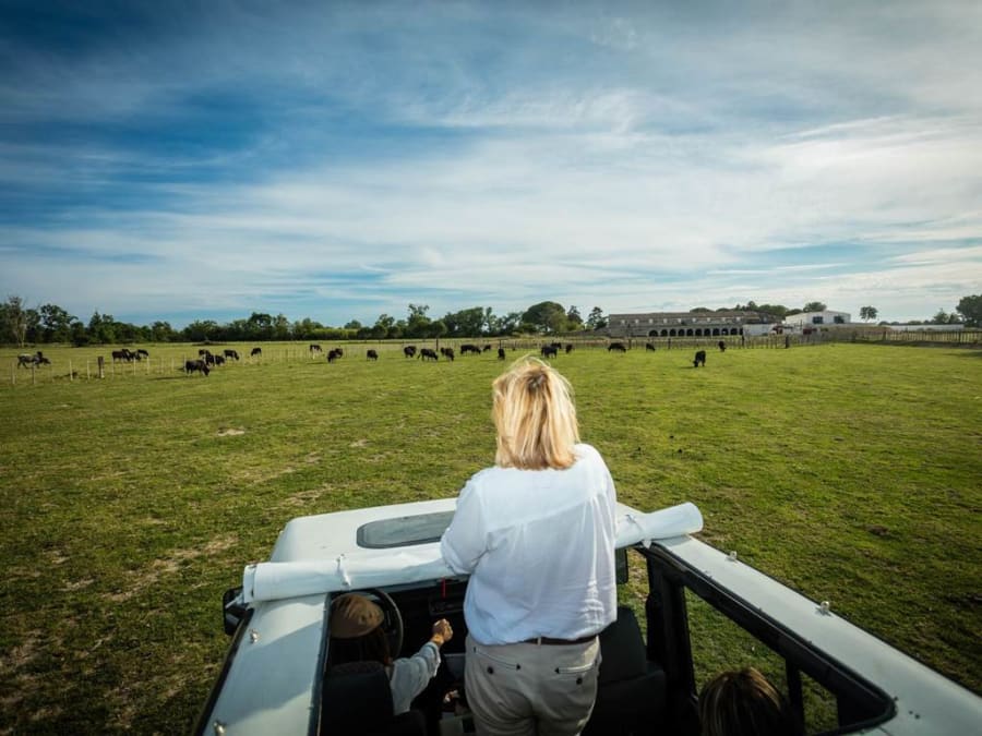 Safari demi-journée en 4x4 au Grau-du-Roi (30)