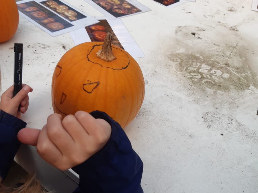 Atelier citrouille & visite de la Ferme de Gally à St-Denis (93)