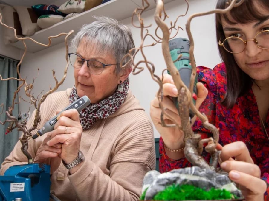 Eternal bonsai workshop in Dijon (21)