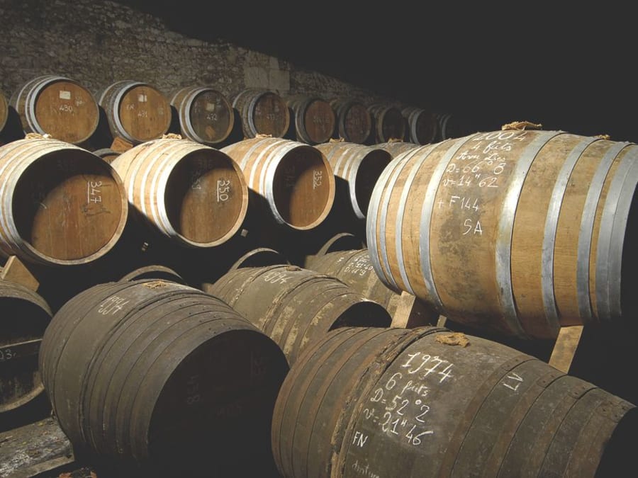 Full visit and tasting at Château Montifaud (17)