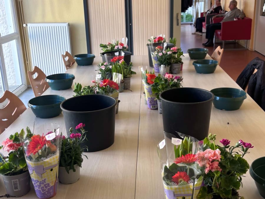 Workshop bloemschikken in Ambarès-et-Lagrave (33)