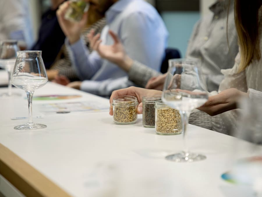 Taller de cata de cerveza en Nantes (44)