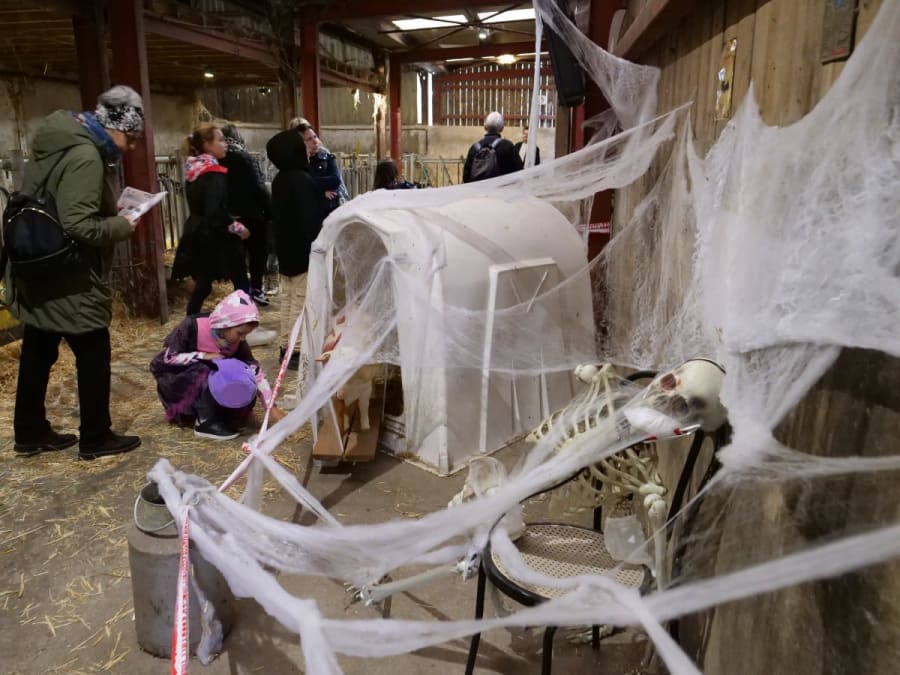 Halloween: não há só feiticeiros na Bergerie Nationale!