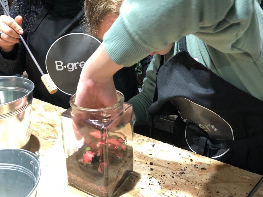 Taller de terrarios para padres e hijos en el distrito 11 de Par