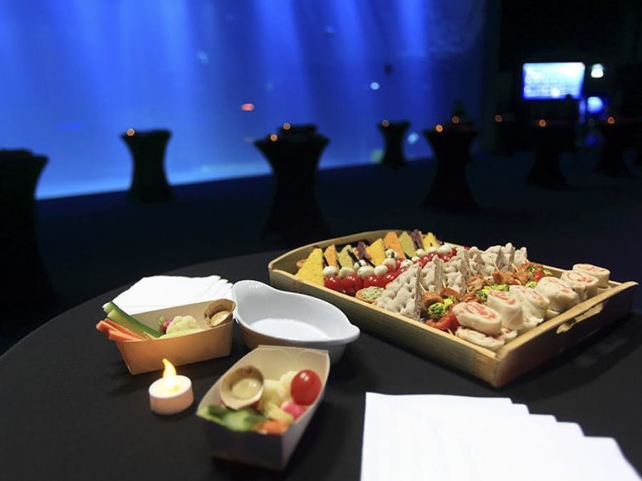 Vivez comme un poisson dans l'eau à Nausicaa (62)