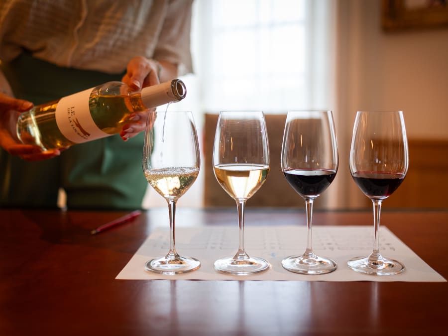 Wine tasting workshop in Saint-Hippolyte (33)