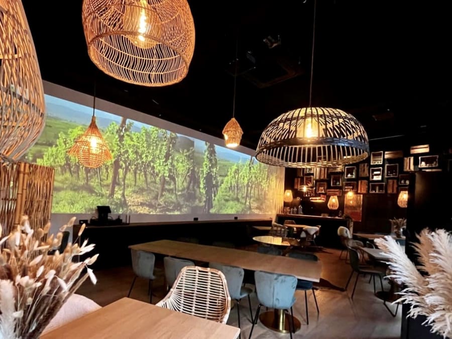 Tour, tasting & Alsatian meal at Domaine Zeyssolff (67)