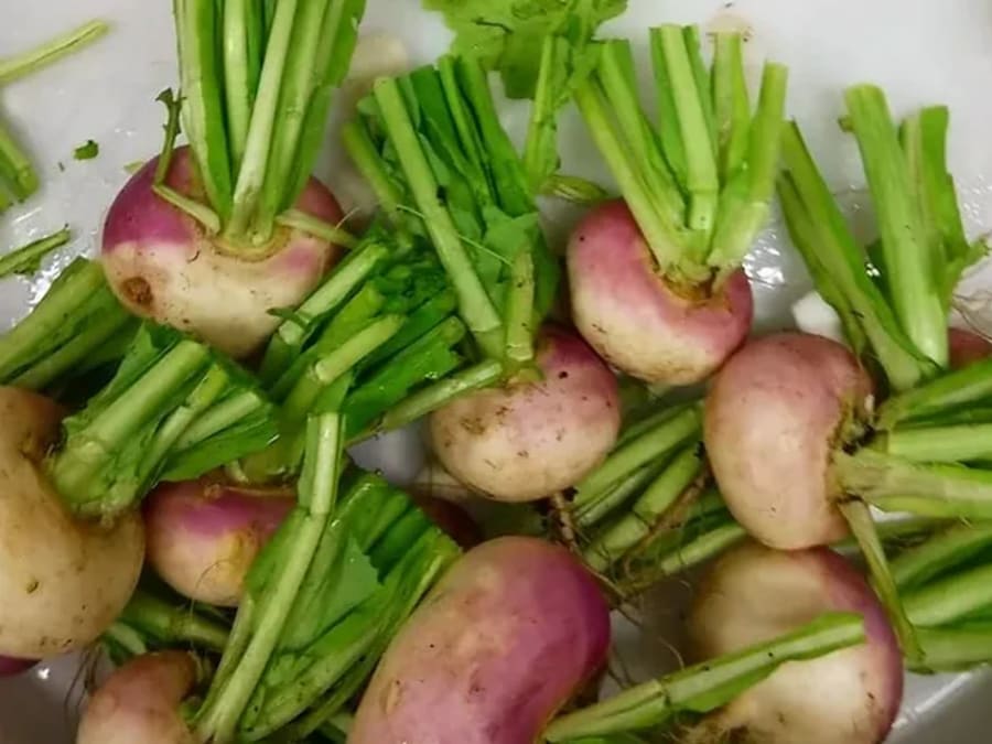 Team Building cuisine lyonnaise avec visite du marché à Lyon  