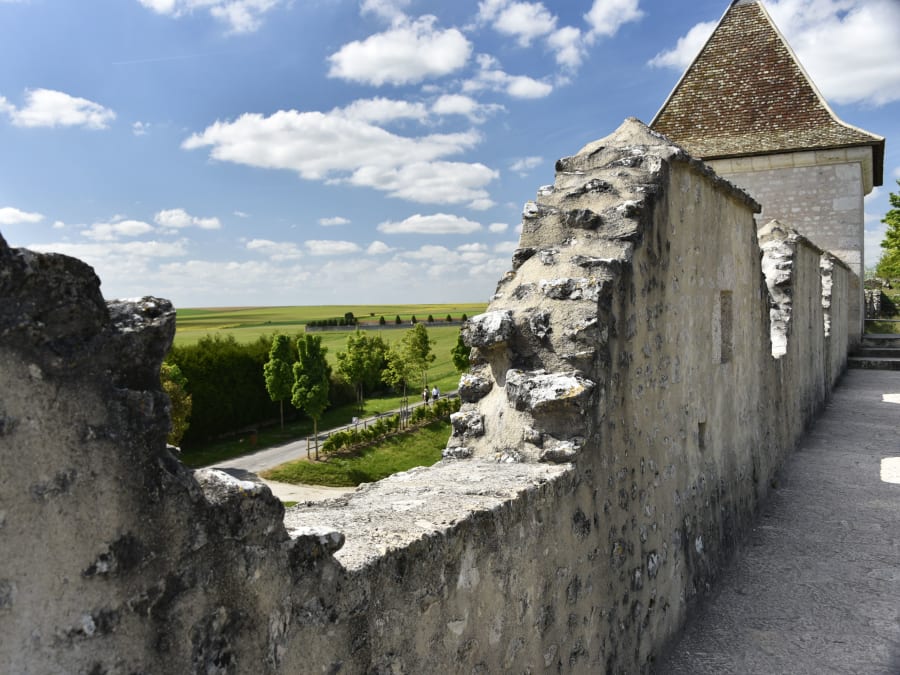 Rally urbano en el centro de Provins