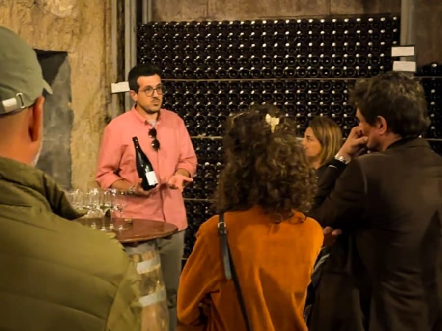 Bezoek aan wijngaarden en proeverij van Artcava-cava in Penedès