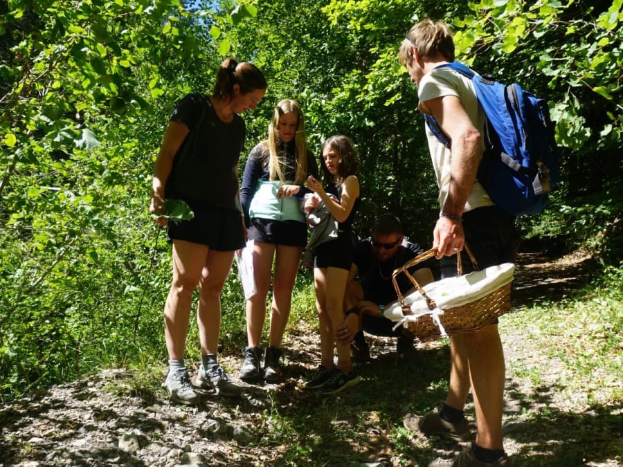 Team Building Survie en forêt en Hautes-Alpes (05)