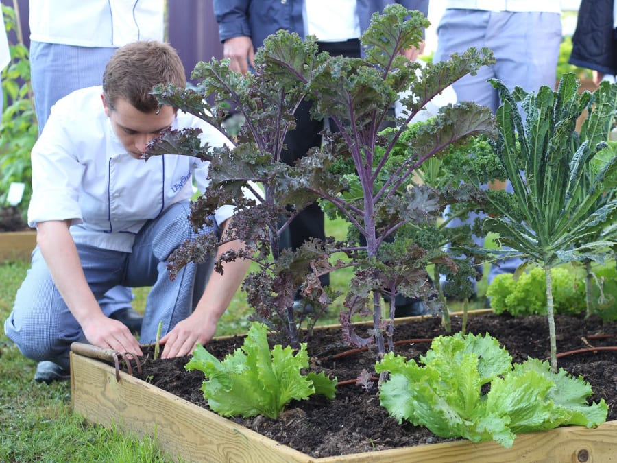 Fête du Maraîchage à la Ferme de Gally de Saint-Denis